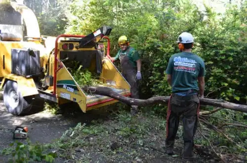 tree services Monroe